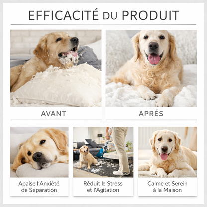 Diffuseur Apaisant pour Chien Anti-Stress – Solution Calmante pour Chiens Anxieux à la Maison