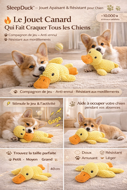 SleepDuck™ – Jouet Canard Apaisant & Résistant pour Chien